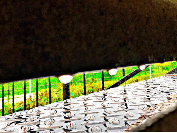Wet step - Visible and Reflected - Budapest