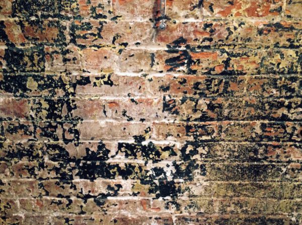 Wall in Manhattan USA