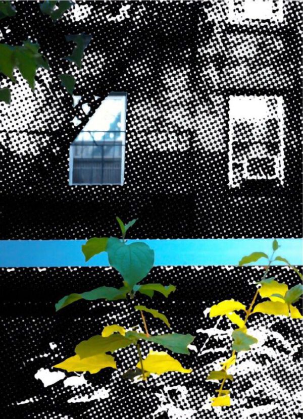 High line reflection new york - Visible and Reflected